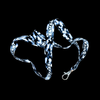Lanyards