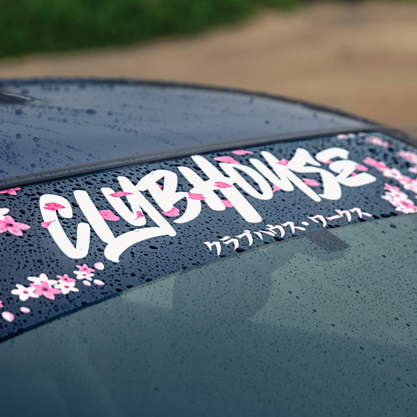 Cherry Blossom banner